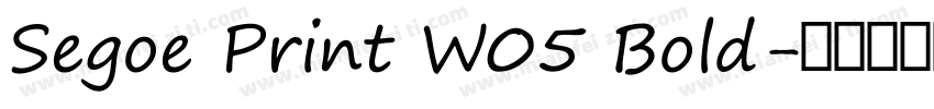 Segoe Print W05 Bold字体转换